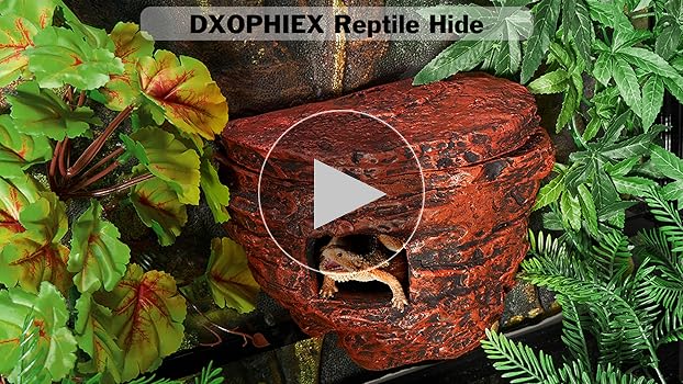 HIDEOUT DAC National Geographic おまけ付 HIDEOUT DAC National Geographic おまけ付 Amazon.com : BNOSDM